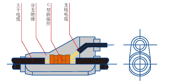 蓝月亮精选料兔费大全