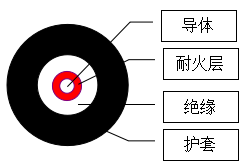 蓝月亮精选料兔费大全